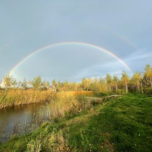Workshop - Aanplant: bomen planten, met de hand én machinaal 21-11-26